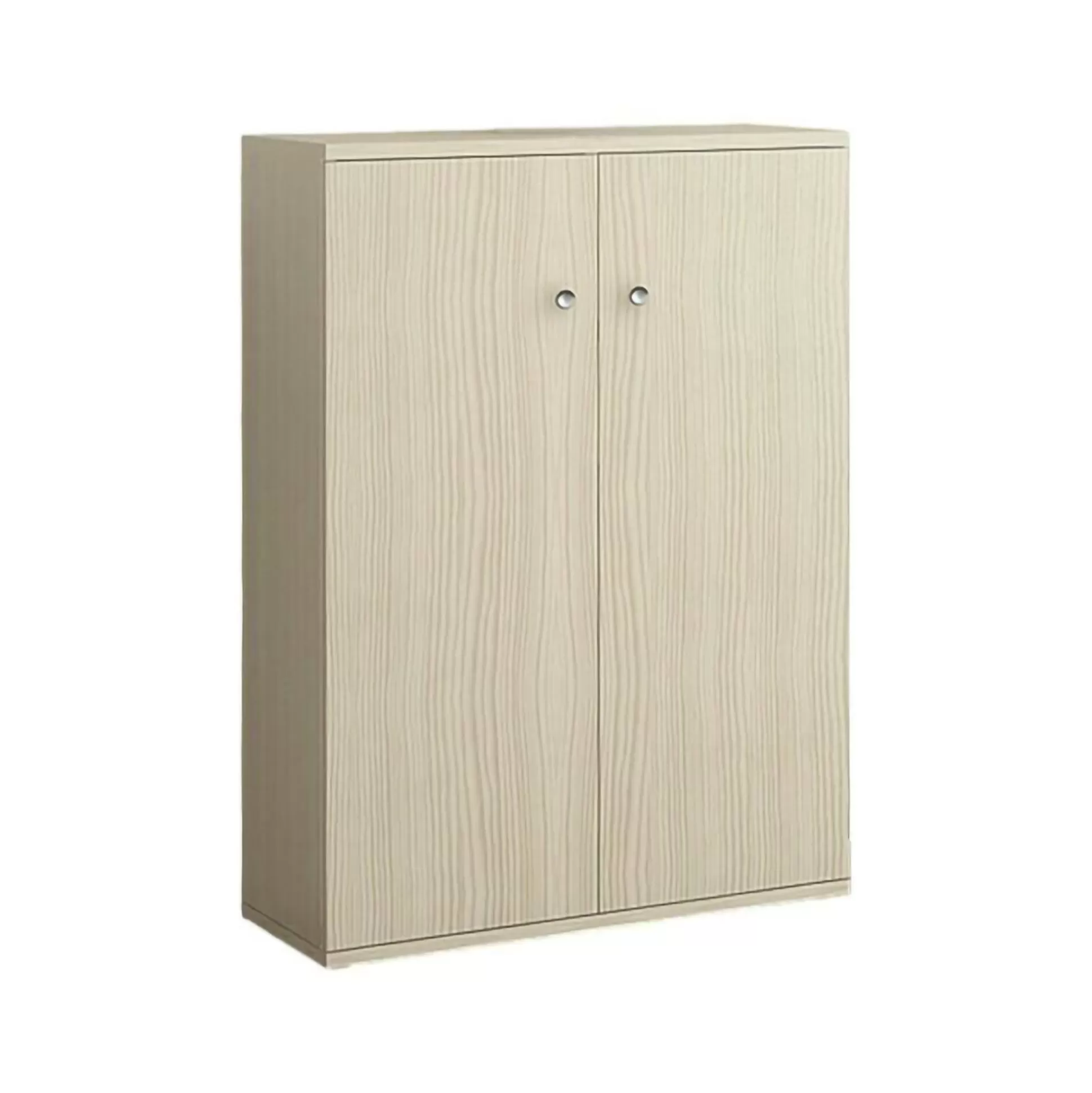 Dmora Armadi Multiuso 2 Ante<Armadio multiuso 2 ante Alaterno, 56x30h76 cm,
