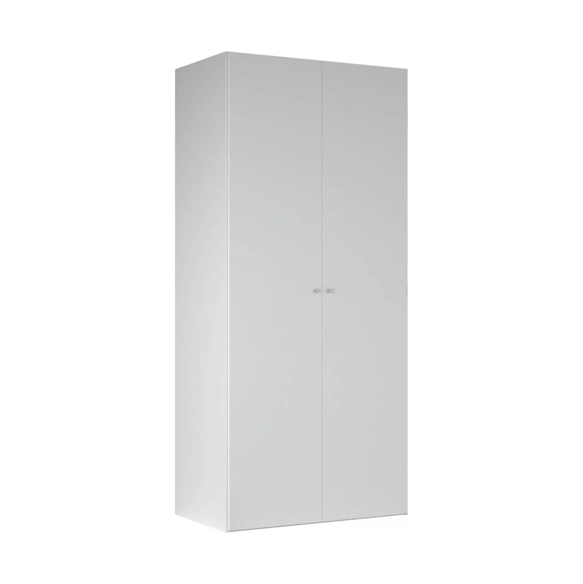 Dmora Armadi Multiuso 2 Ante<Armadio multiuso 2 ante Dventuri, 60x100 h219 cm,