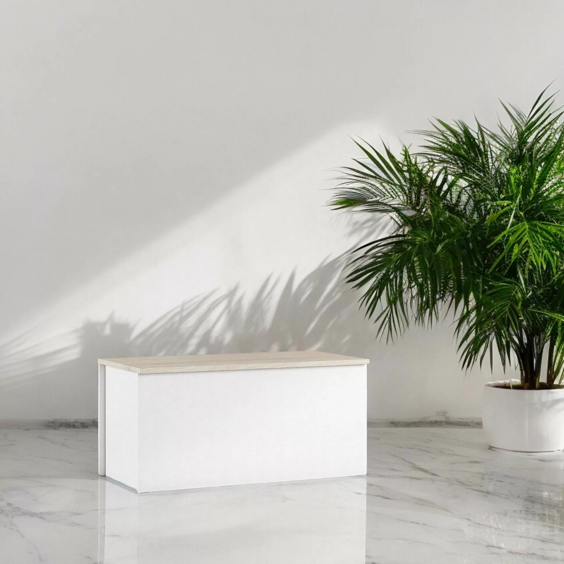 Dmora Bauli<Baule Ayusnay, 90x45h45 cm, Bianco e Rovere