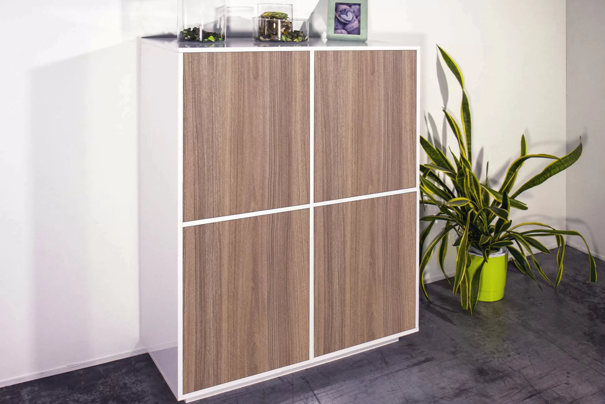 Dmora Credenze<Credenza Ara, cm 100x41h126, Bianco lucido e Noce