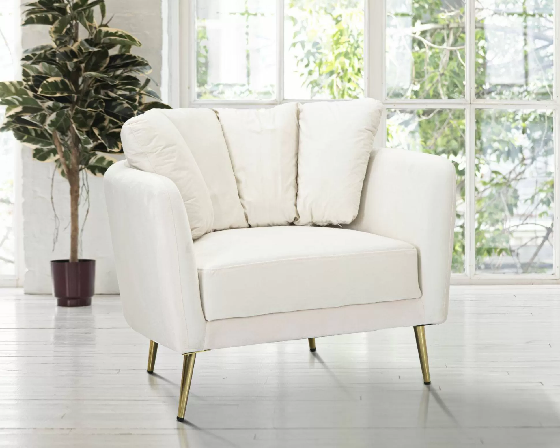 Dmora Poltrone<Poltrona Foster, 88x77 h74 cm, Crema e Oro