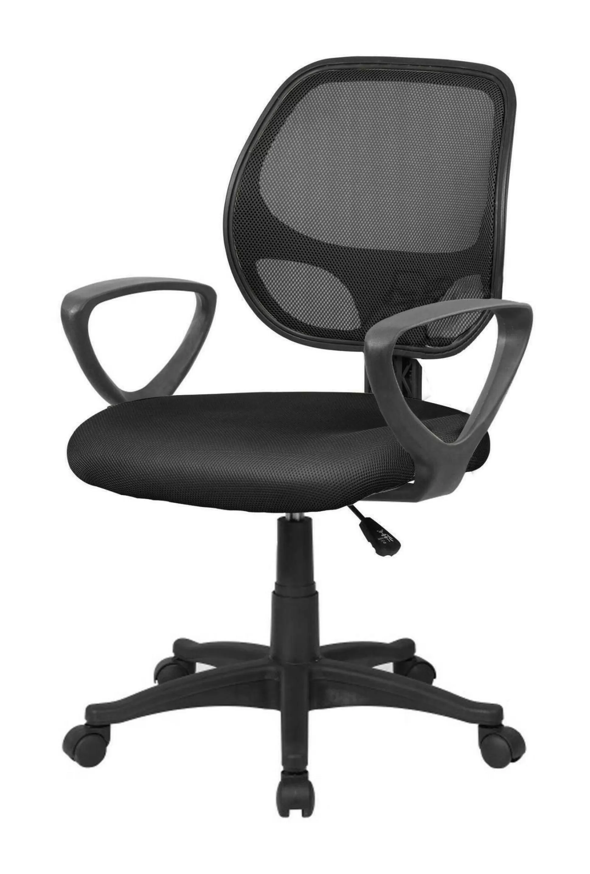 Dmora Sedie Con Ruote<Sedia con ruote Filiberta, 56x57h88/100 cm,