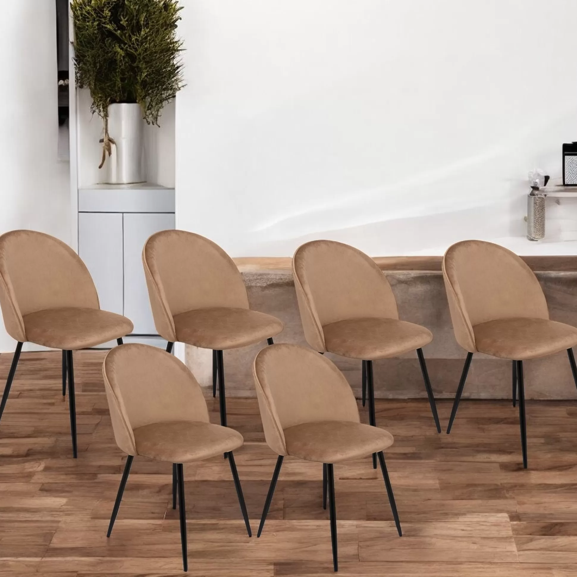 Dmora Sedie<Set di 6 sedie Achito, 51x54h82 cm,