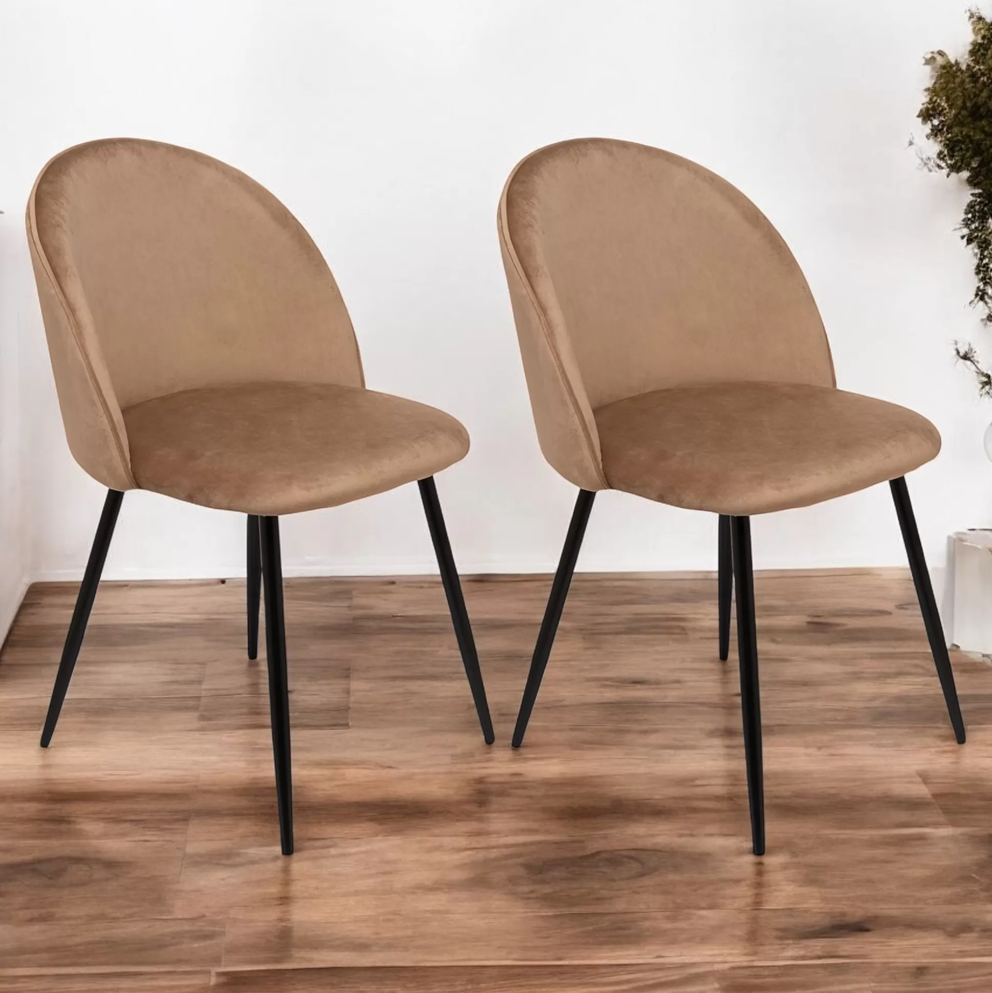 Dmora Sedie<Set di 2 sedie Achito, 51x54h82 cm,