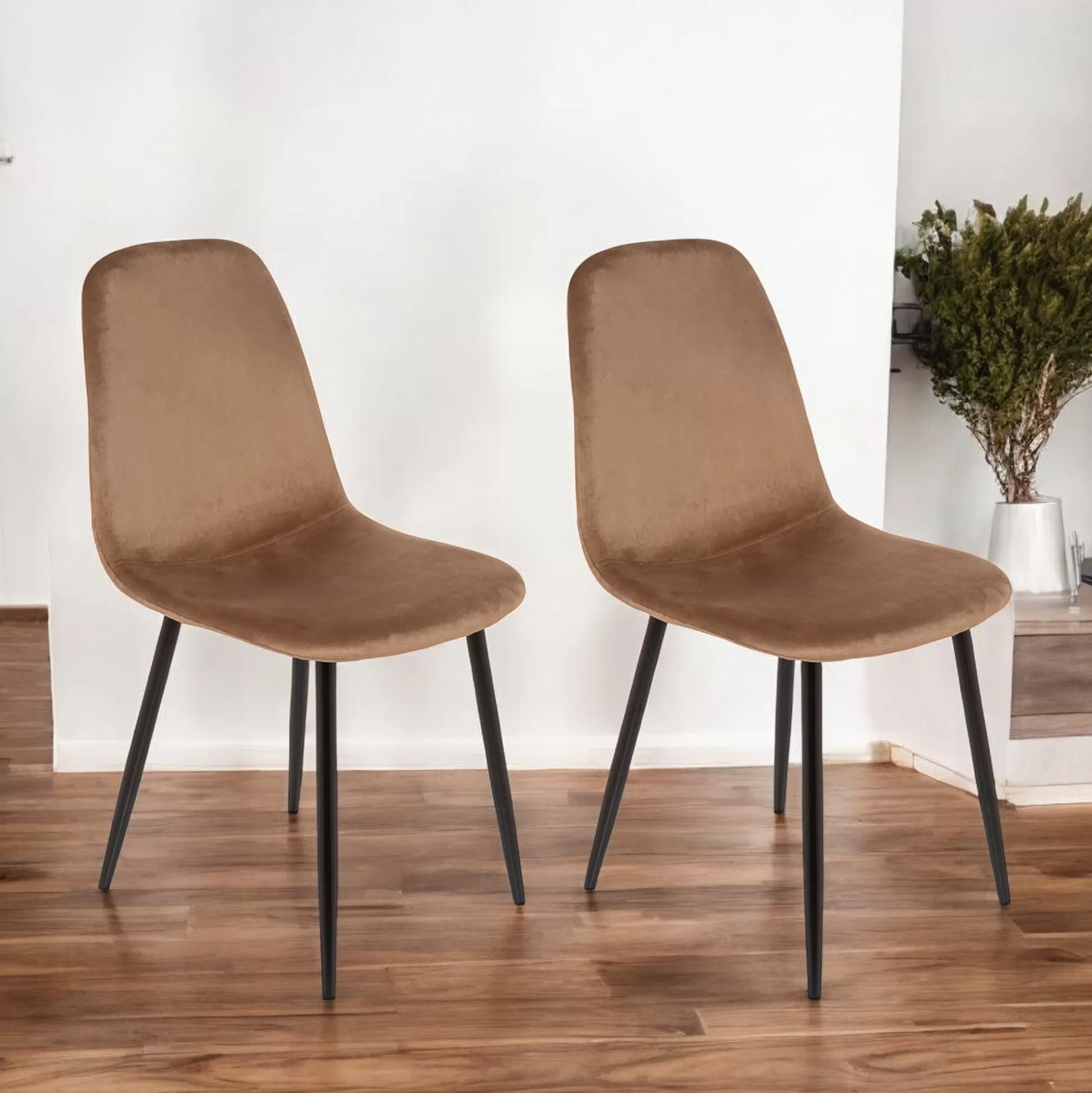 Dmora Sedie<Set di 2 sedie Arter, 45x56h87 cm,
