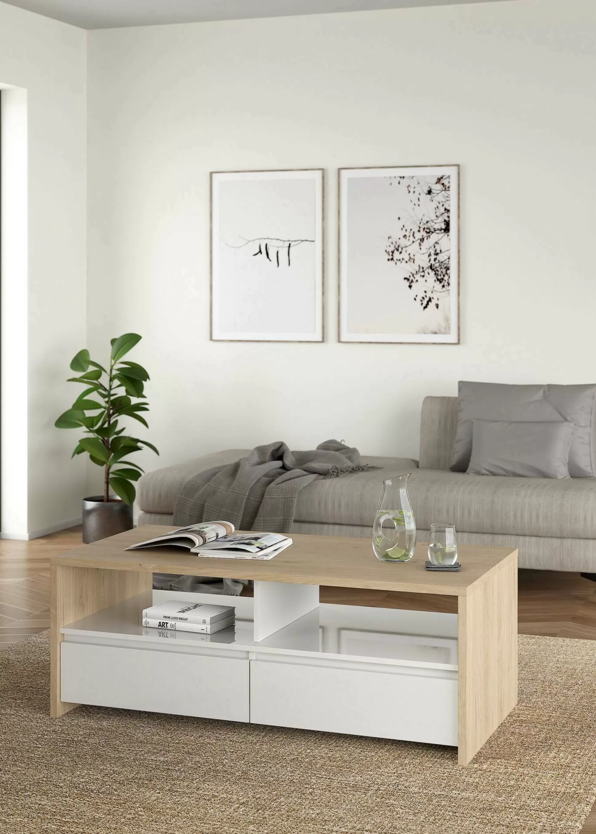 Dmora Tavolini Da Salotto<Tavolino da salotto Octavia, Tavolo basso da caffè, Portariviste per divano, Ripiano da soggiorno, 60x120 h46 cm, Rovere e Bianco